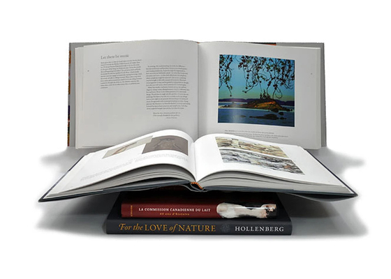 libro con copertina rigida di lusso di 128gsm 140gsm 157gsm che stampa il libro della foto del tavolino da salotto di arte