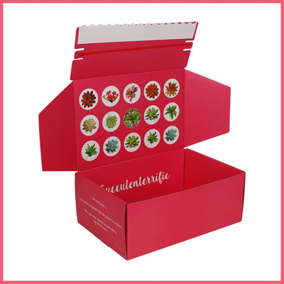 Pantone Color Mailer Shipping Box Scatole postali colorate con laminazione opaca lucida