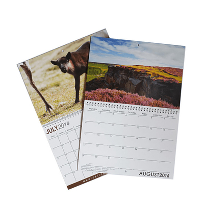 Vario calendario della carta patinata di dimensione C2S che stampa 128gsm 157gsm 190gsm 210gsm