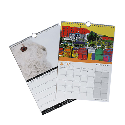 Vario calendario della carta patinata di dimensione C2S che stampa 128gsm 157gsm 190gsm 210gsm